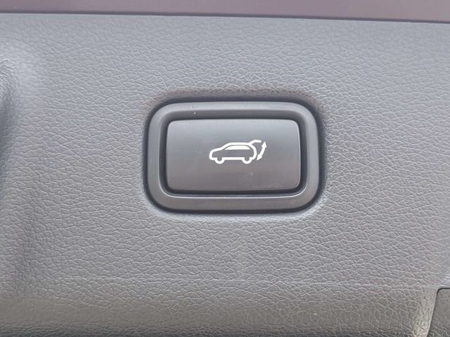 Used 2023 Red Hyundai Calligraphy image 13