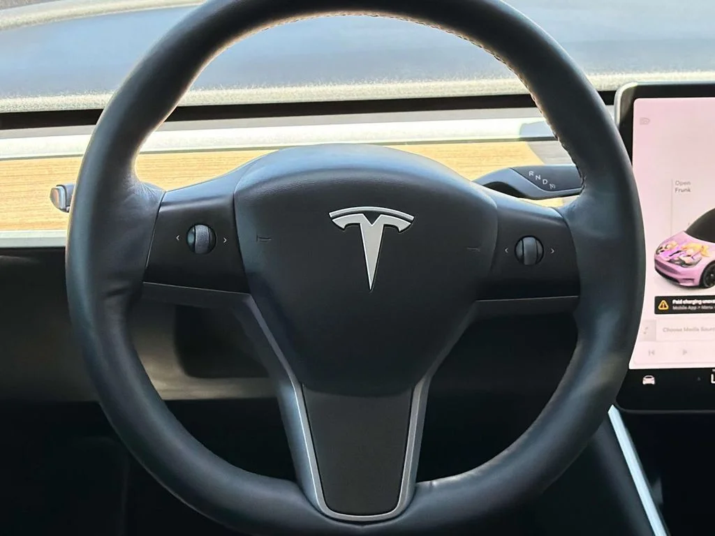 Used 2021 Red Multi-Coat Tesla Standard Range image 10