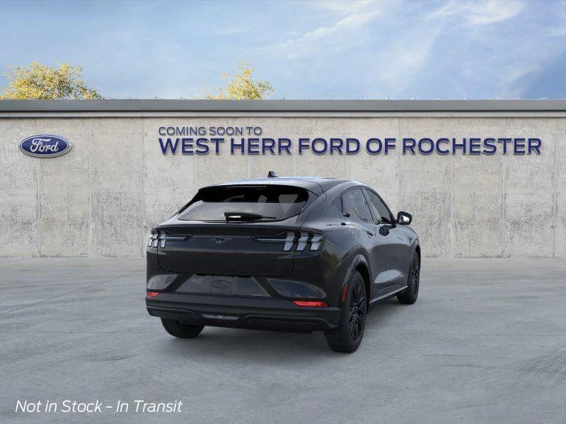 New 2026 Shadow Black Ford Premium image 8