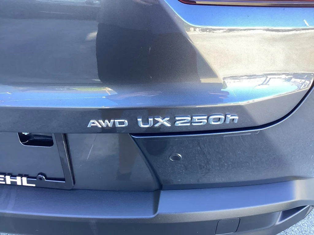 Used 2024 Gray Lexus 250h Premium image 22