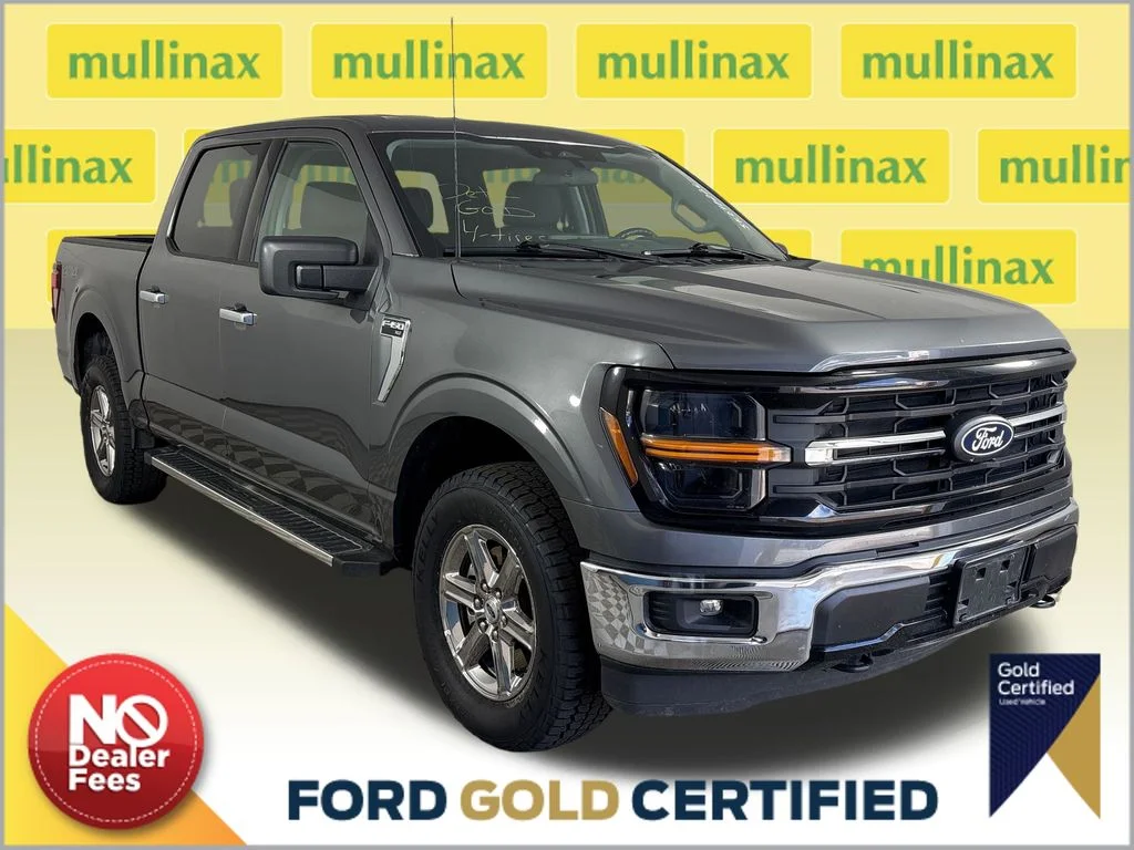 Certified Used 2025 Gray Ford XLT image 1