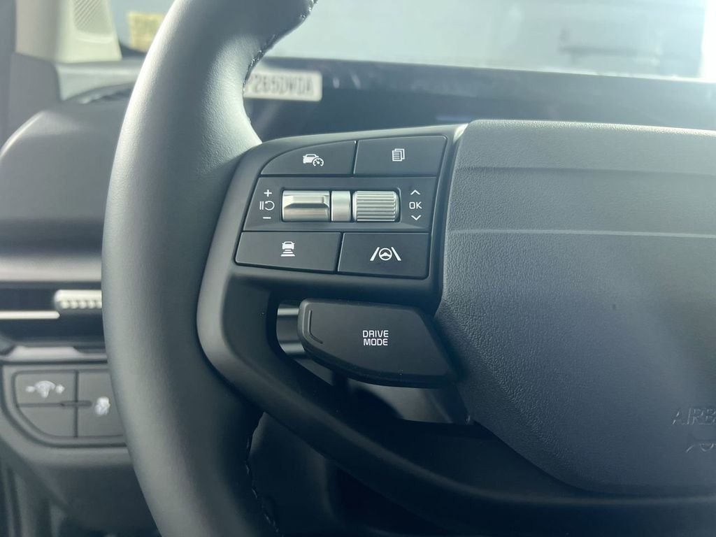 New 2026 Panthera Metal Kia LX image 18