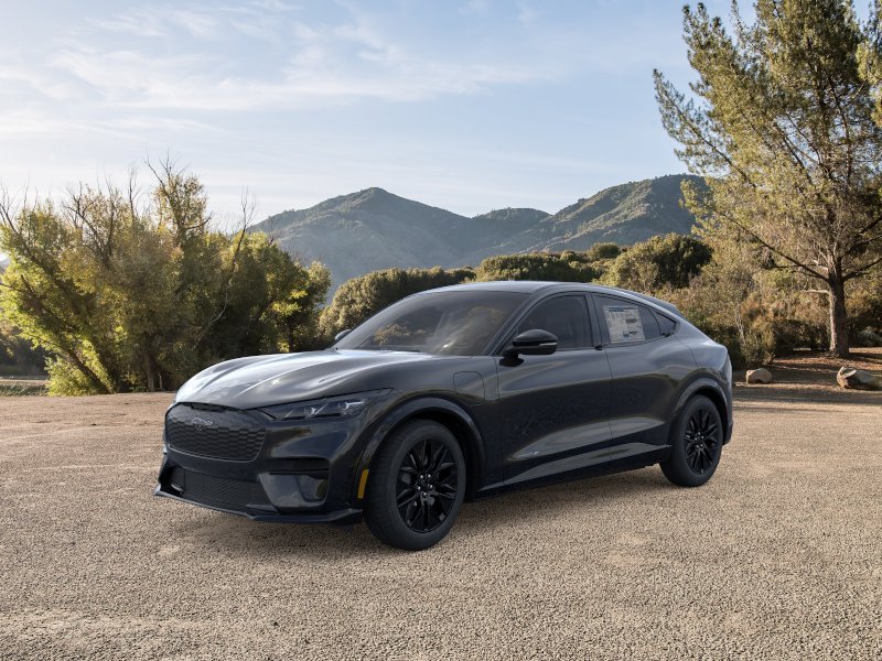 New 2026 Shadow Black Ford Premium image 29
