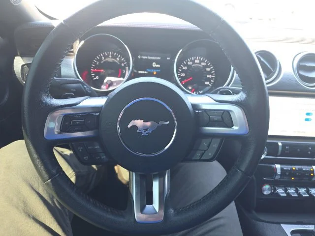 Used 2019 Gray Ford EcoBoost image 12