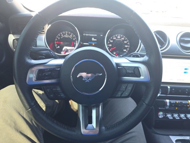 Used 2019 Gray Ford EcoBoost image 12
