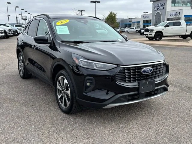 Used 2025 Black Ford Platinum image 8