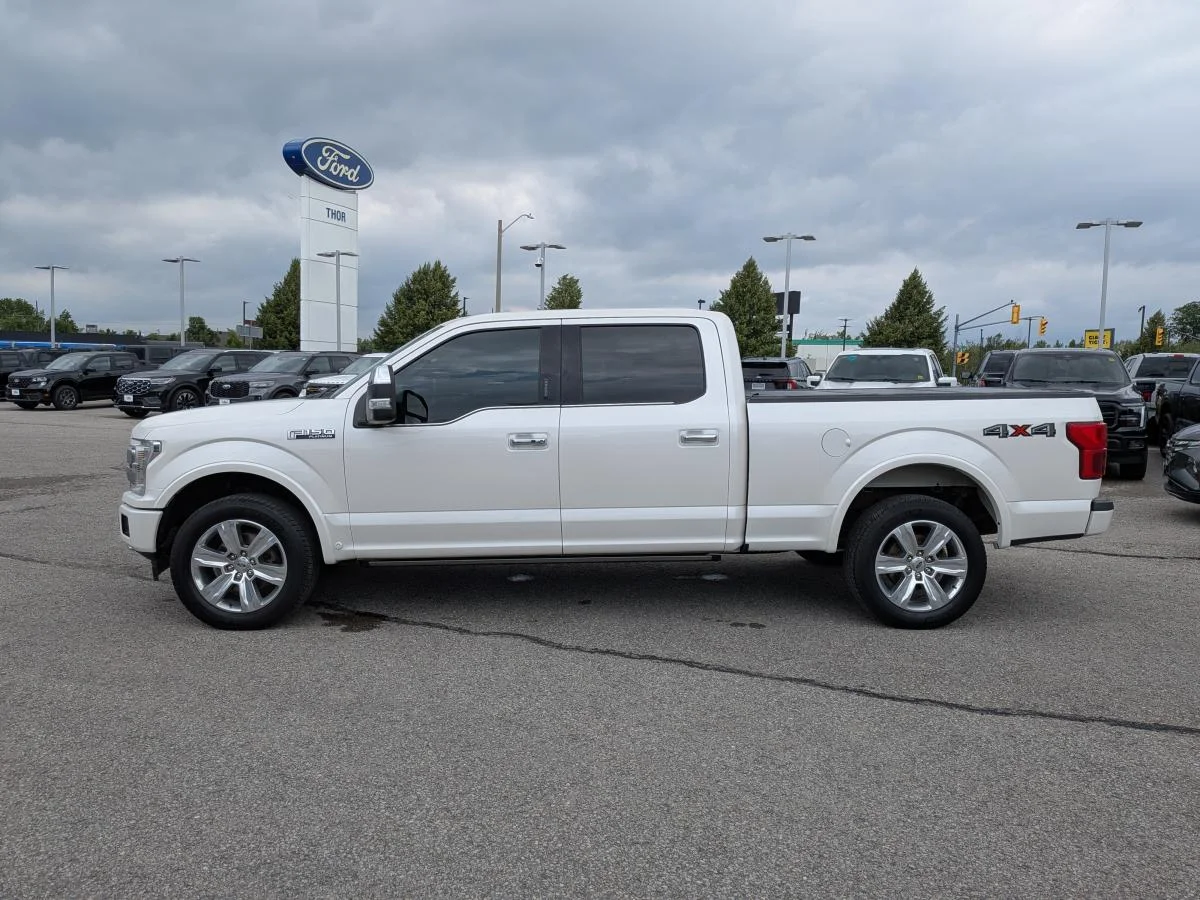 Used 2019 White Ford Platinum image 9