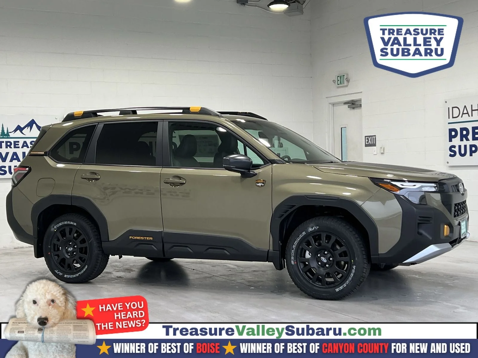 2026 Subaru Forester Wilderness's photo