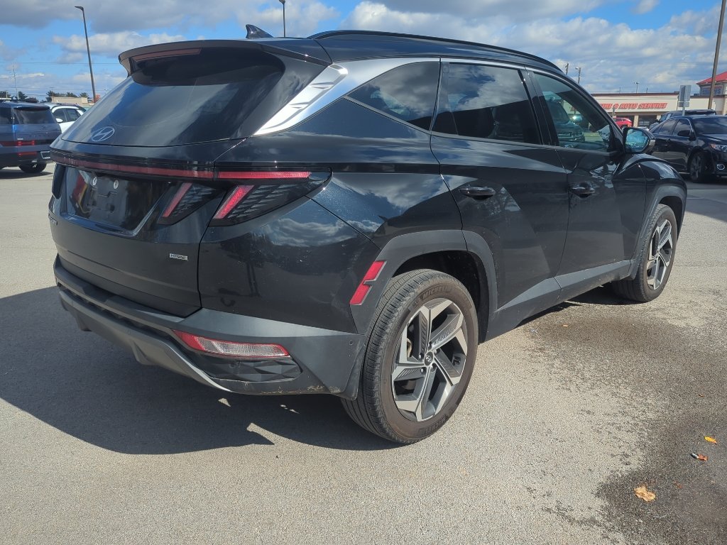 2023 Hyundai Tucson Limited photo 4