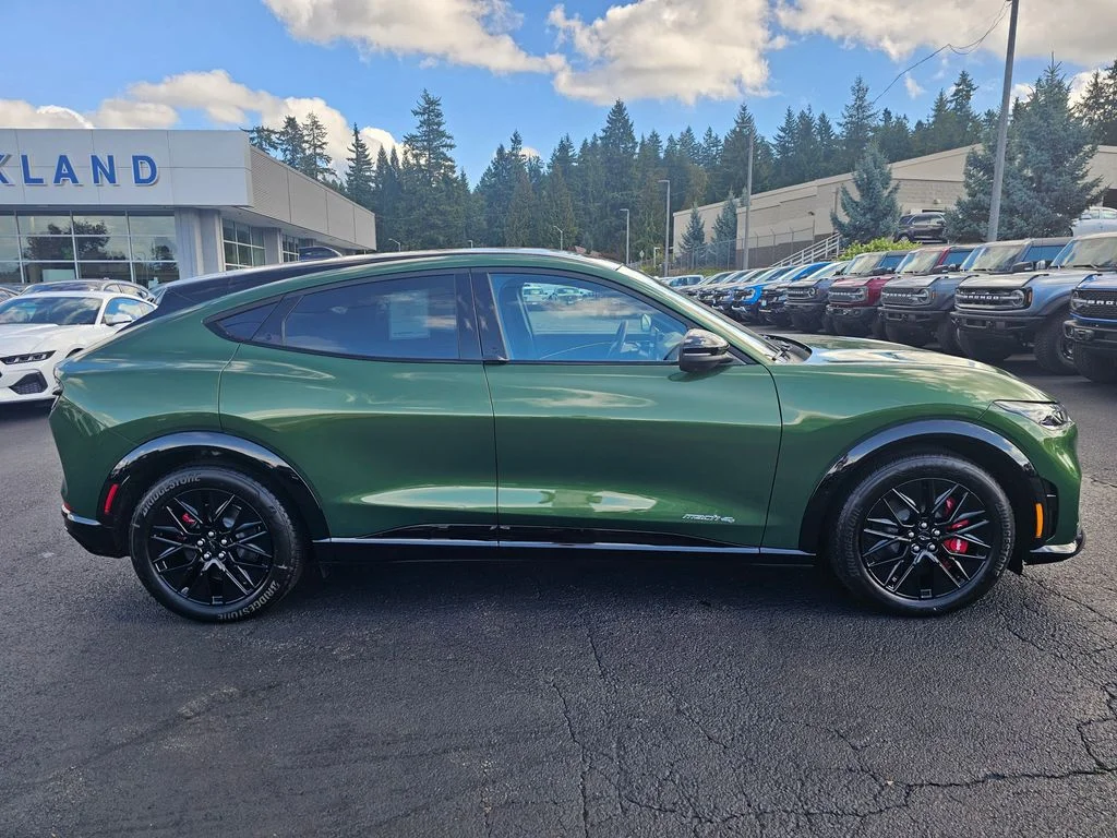 New 2025 Eruption Green Metallic Ford Premium image 8