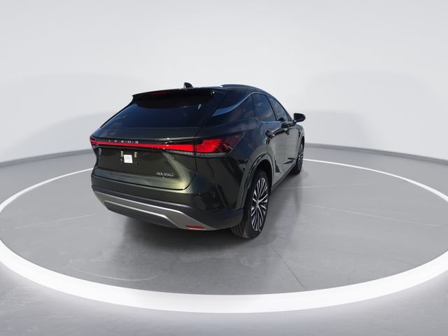 New 2026 Nori Green Pearl Lexus PREMIUM PLUS image 7