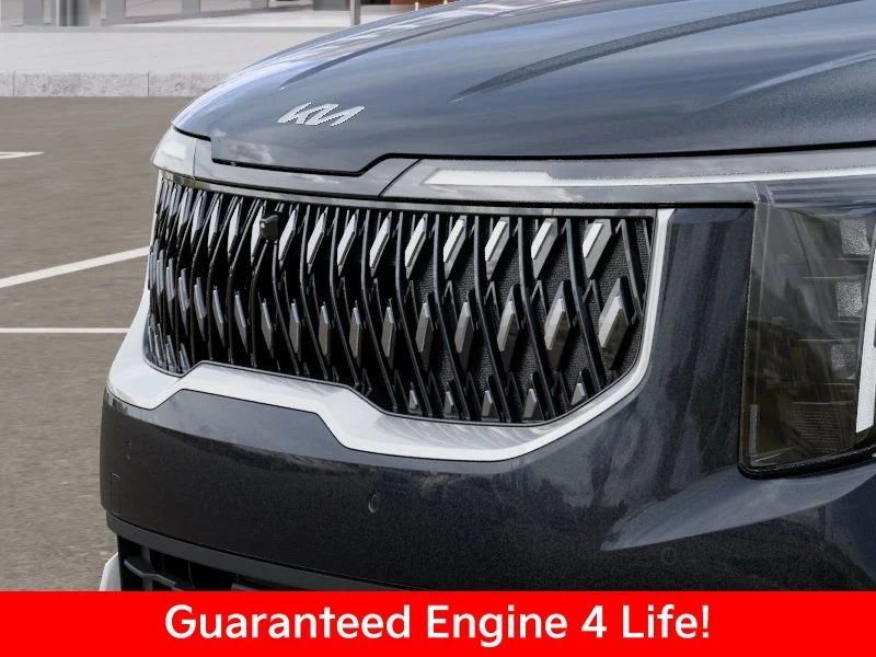 New 2026 Panthera Metal Kia LXS image 14