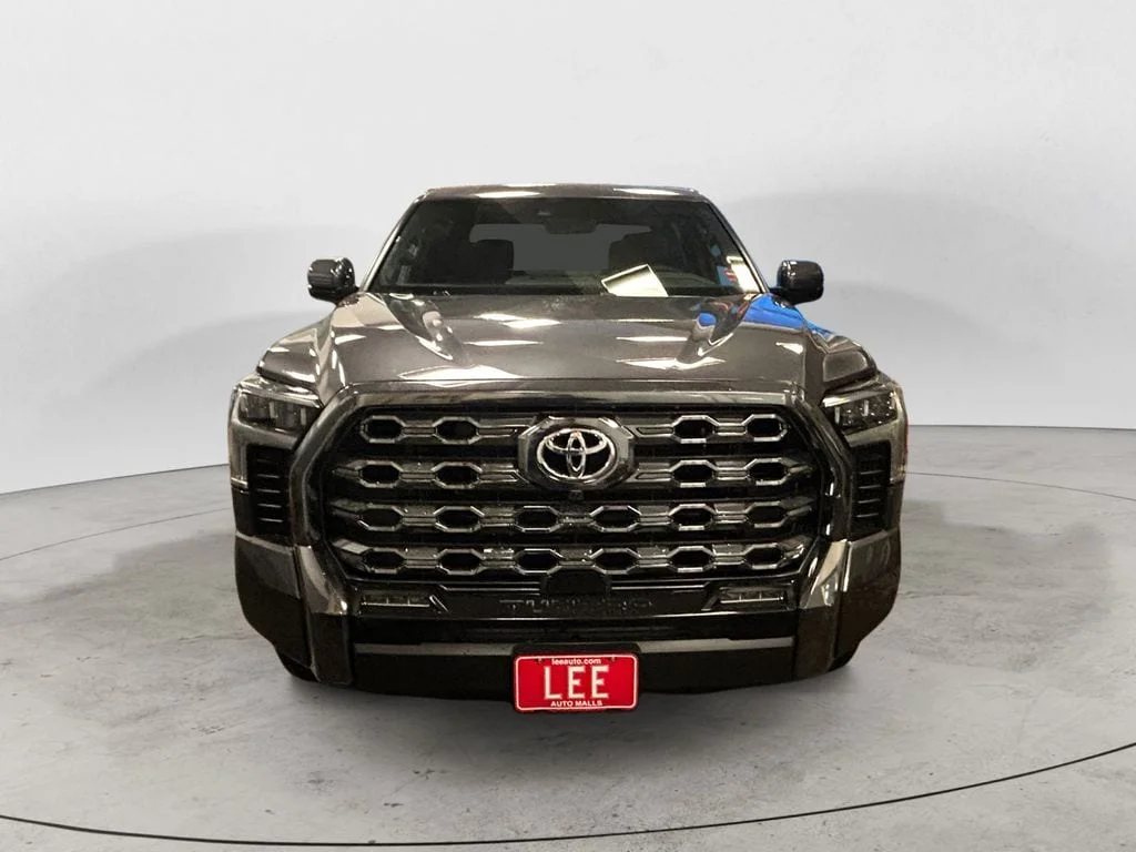 New 2026 Magnetic Gray Metallic Toyota Platinum image 8