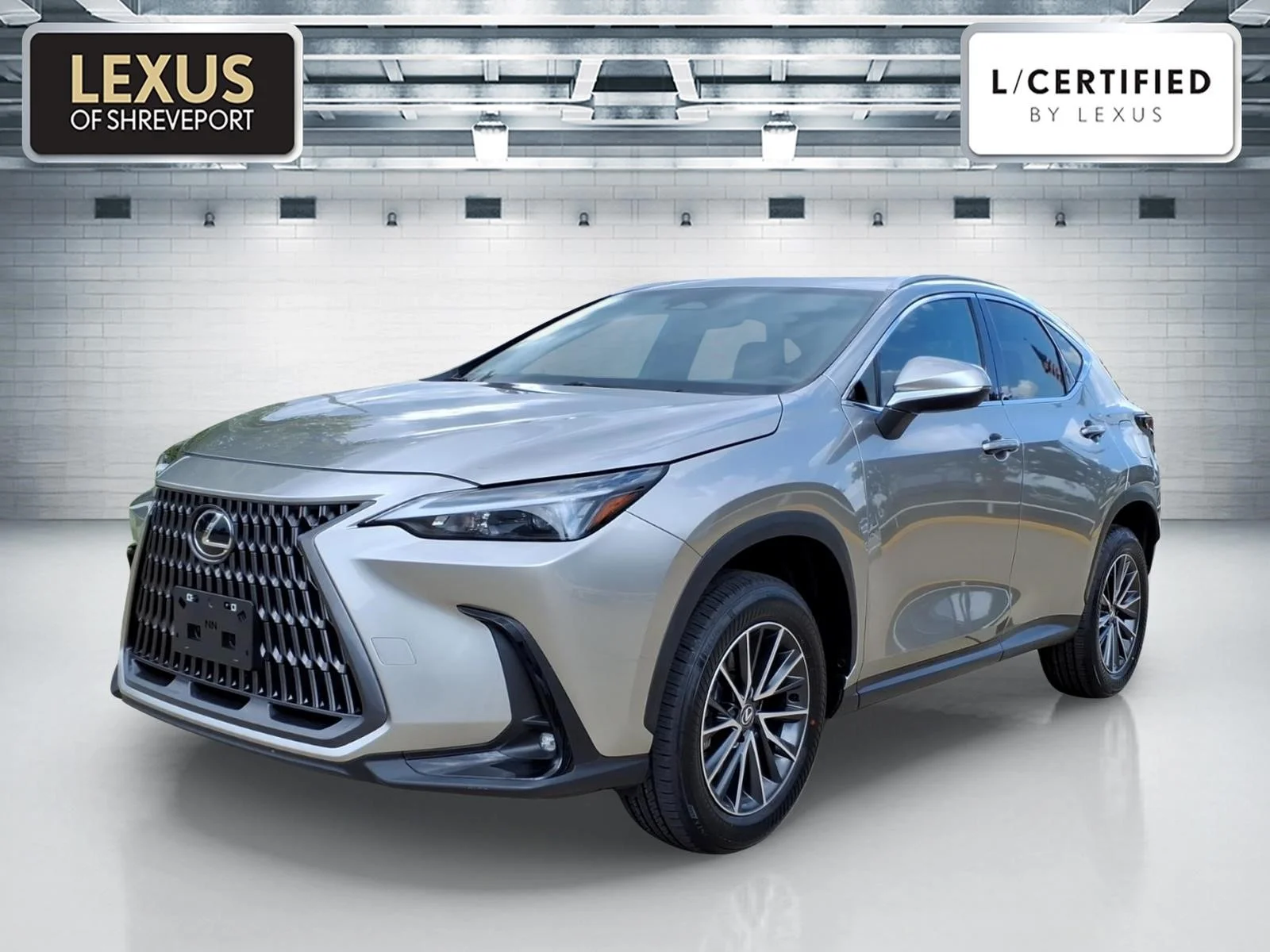 2024 Lexus NX Base