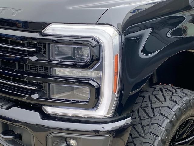 New 2026 Black Ford Platinum image 4