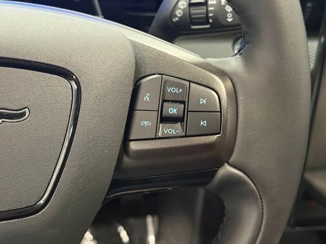 Used 2024 Gray Ford Premium image 15