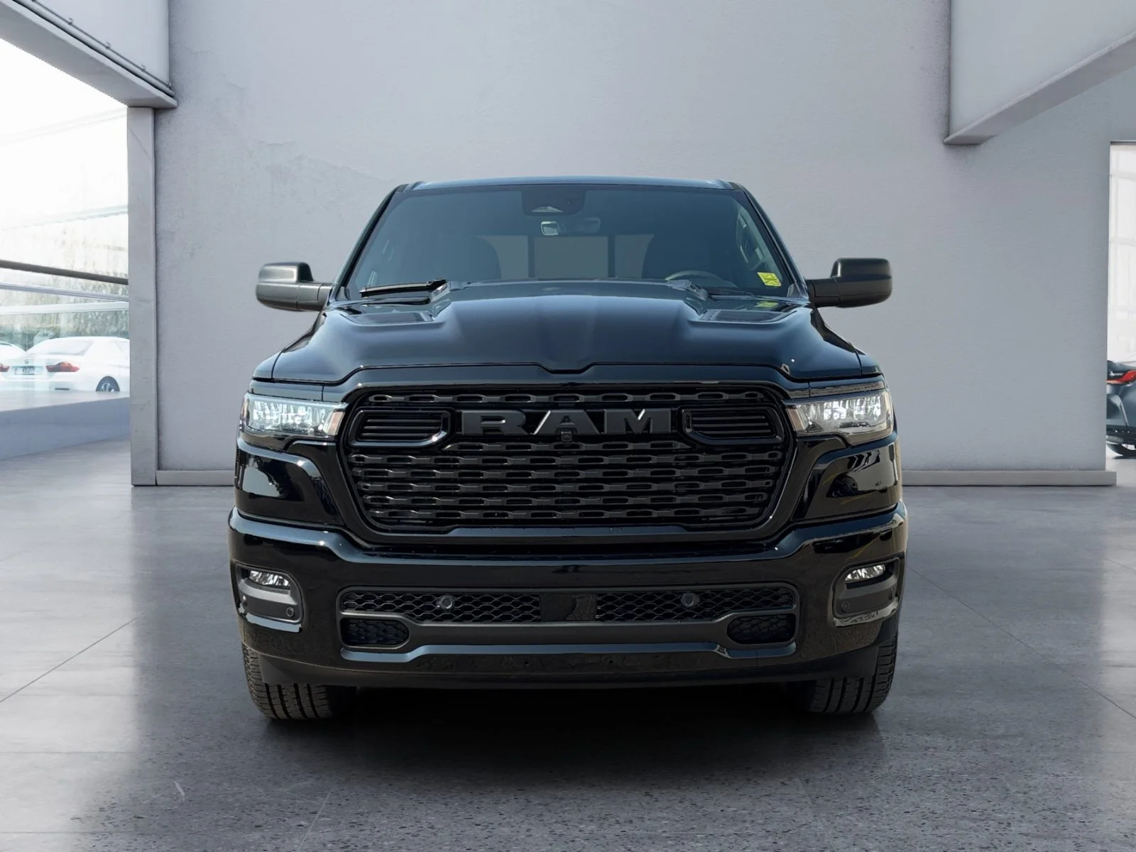 New 2026 Diamond Black Crystal Pearl Ram Express image 8