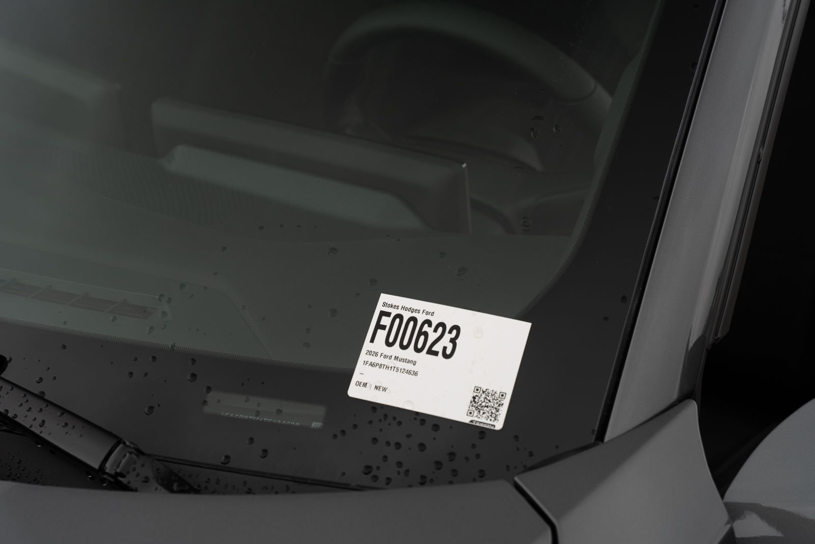 New 2026 Carbonized Gray Metallic Ford EcoBoost® Fastback image 15