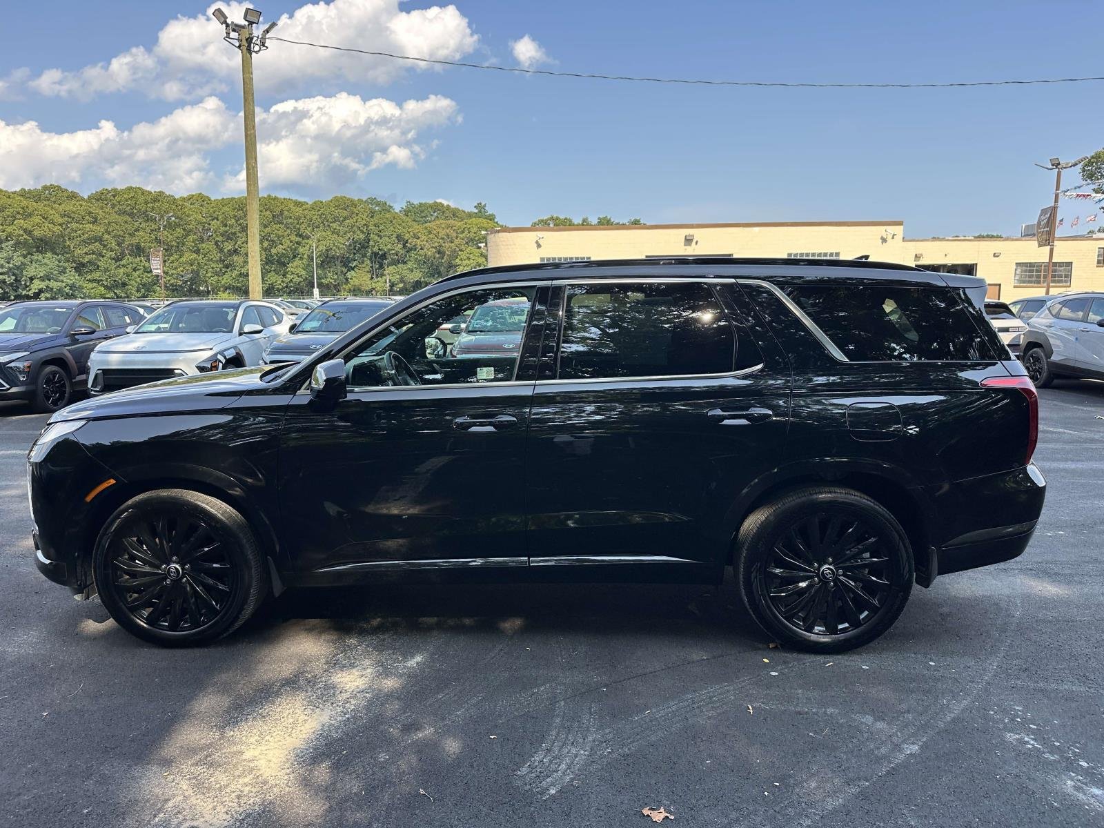 2025 Hyundai Palisade Calligraphy Night Edition - Photo 9