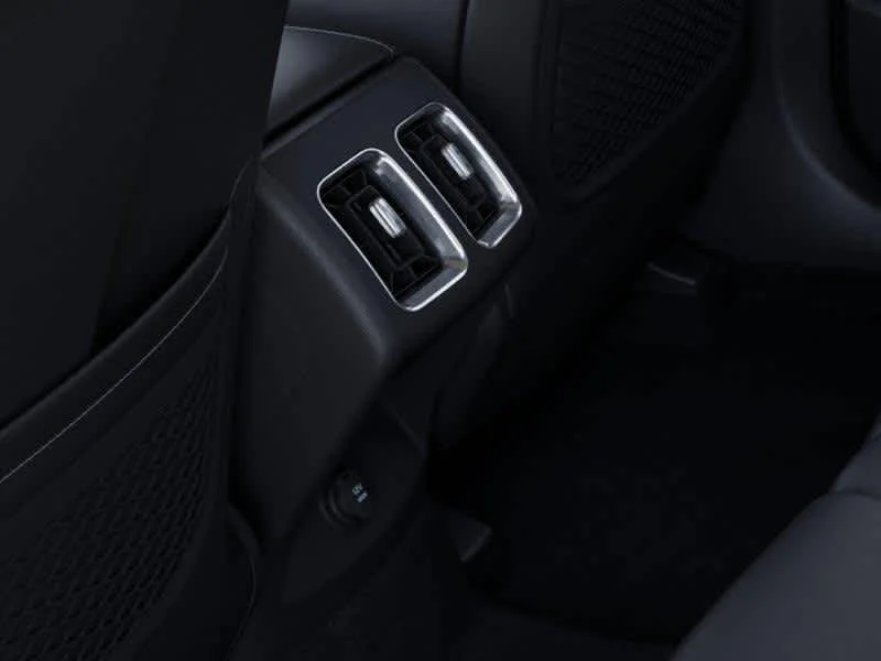 New 2026 Panthera Metal Kia S image 26