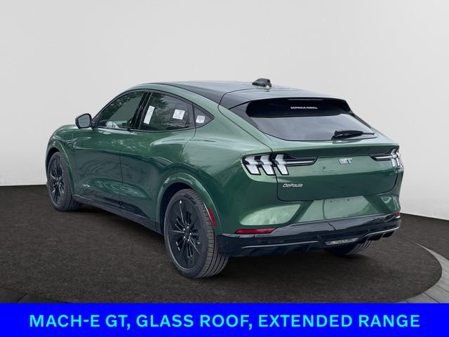 2025 Ford Mustang Mach-E GT - Photo 18