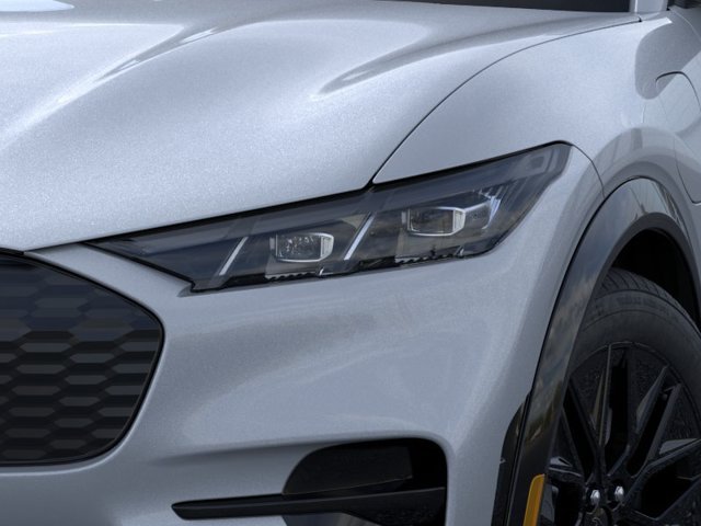 New 2026 Gray Ford Premium image 18
