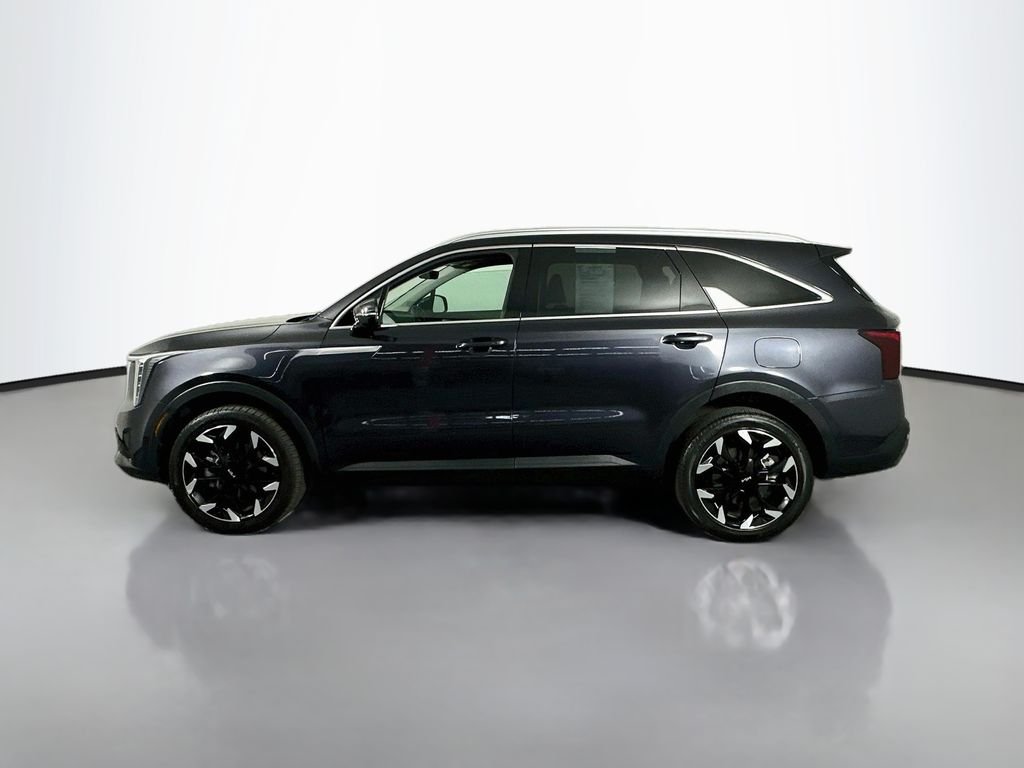 Used 2025 Panthera Metal Kia EX image 5