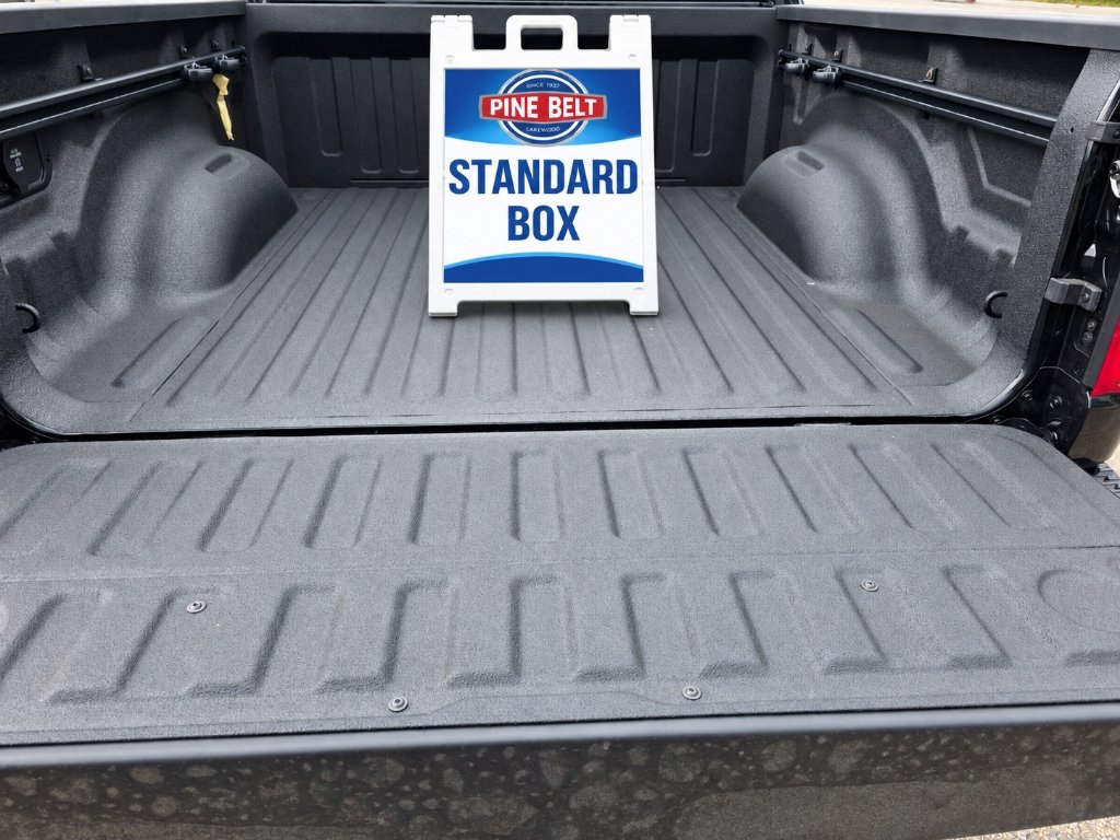 New 2026 Diamond Black Crystal Pearl-Coat Exterior Paint RAM Big Horn/Lone Star image 6