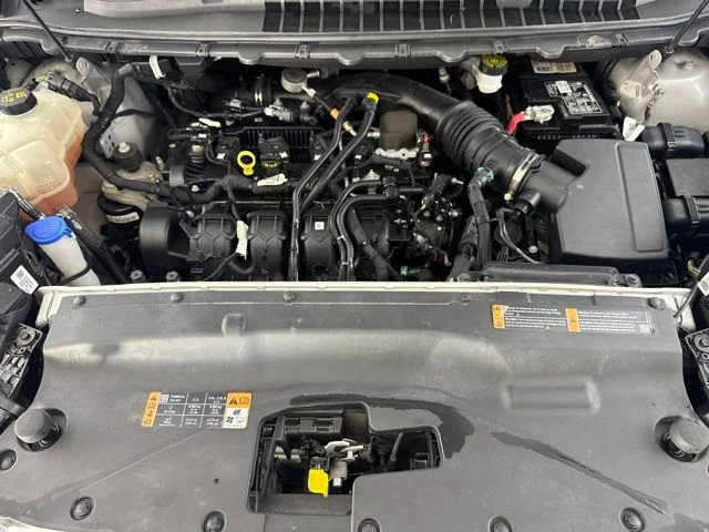 Used 2019 Silver Ford Titanium image 19