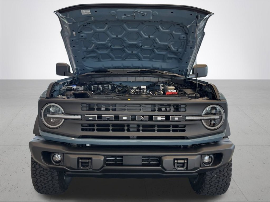 Used 2022 Area 51 Ford Black Diamond image 4