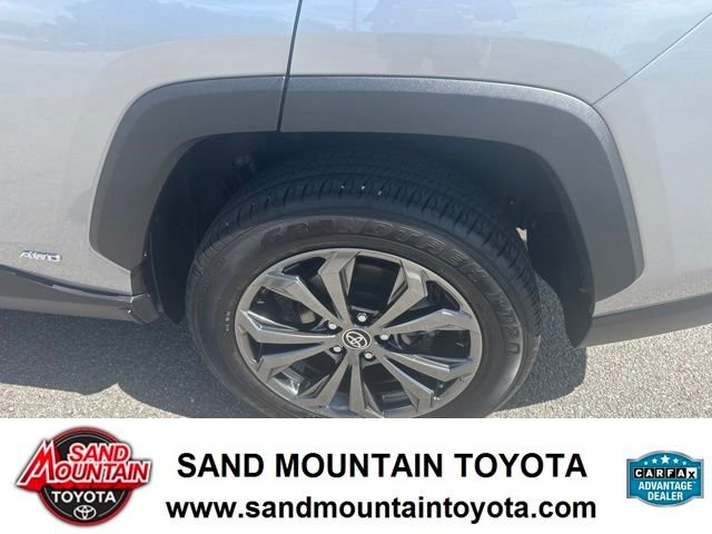 Used 2025 Silver Toyota XLE Premium image 12