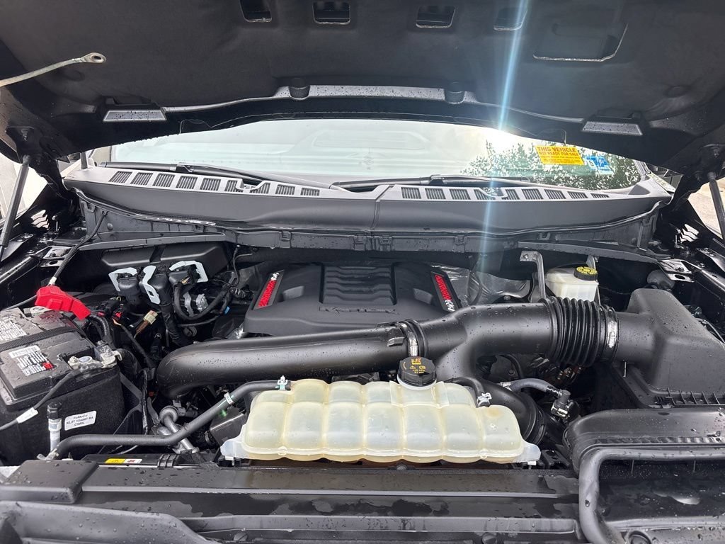 Used 2022 Black Ford Raptor image 12