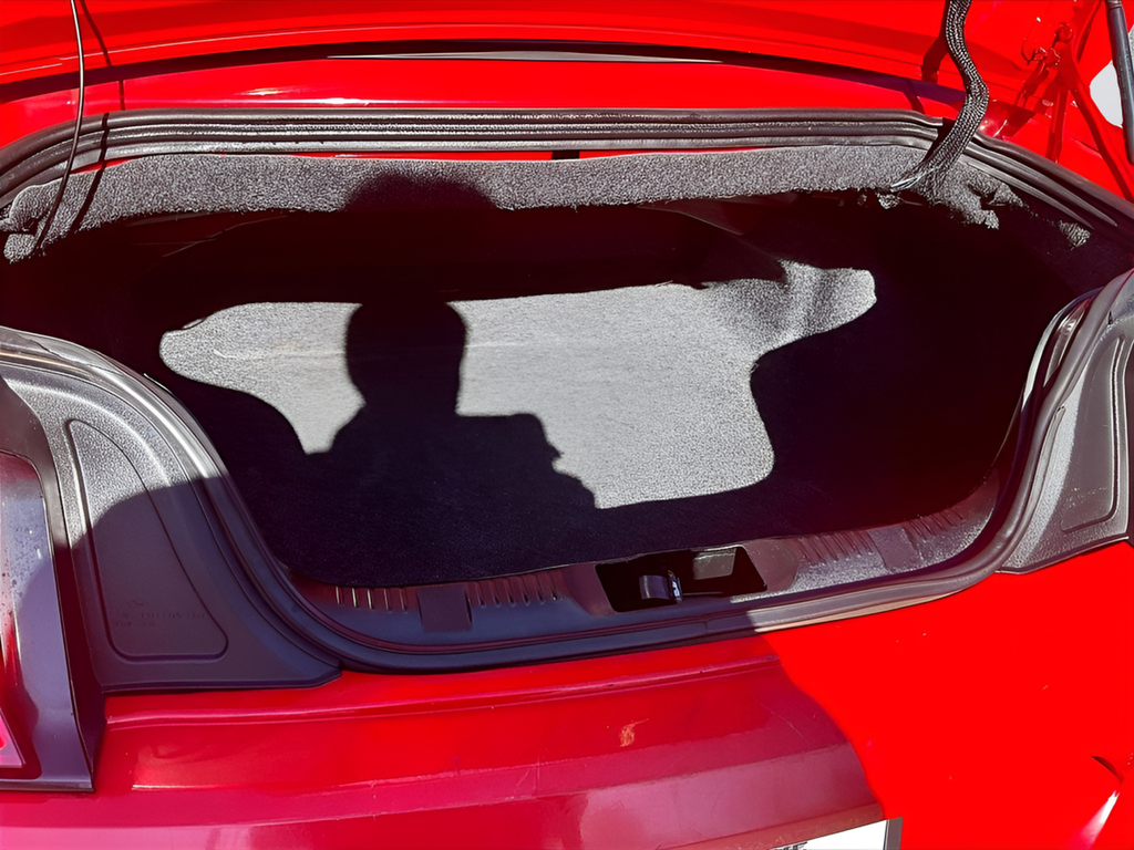 2020 Ford Mustang EcoBoost Premium - Photo 22