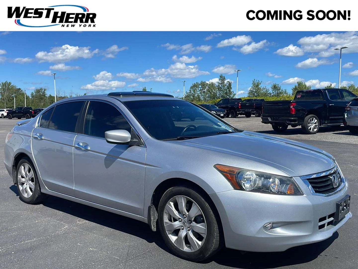 Used 2009 Polished Metal Metallic Honda EX-L image 1