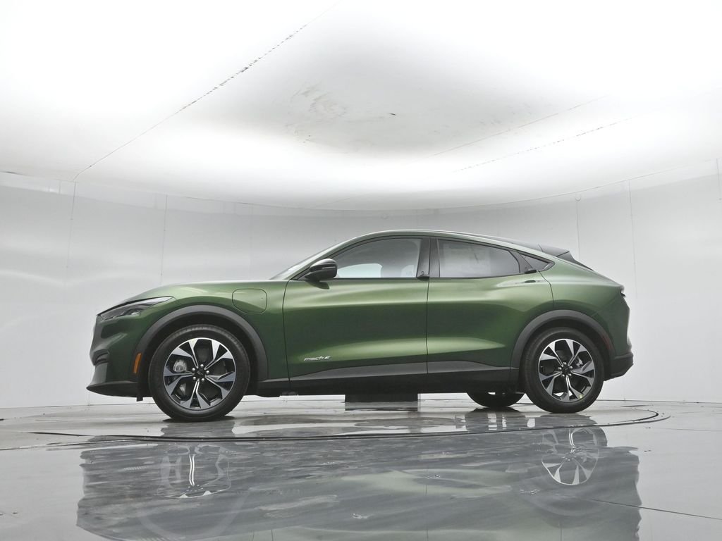 New 2026 Eruption Green Metallic Ford Select image 49