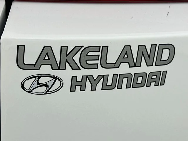 New 2027 White Hyundai Calligraphy image 25
