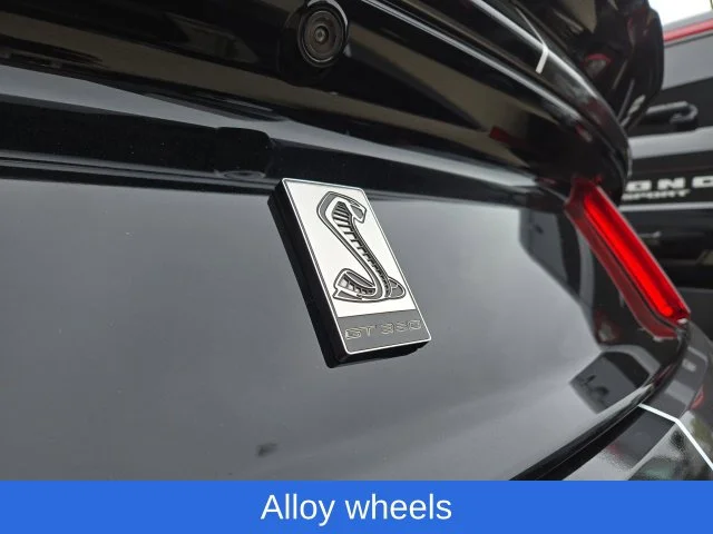 Used 2016 Magnetic Ford Shelby GT350R image 10