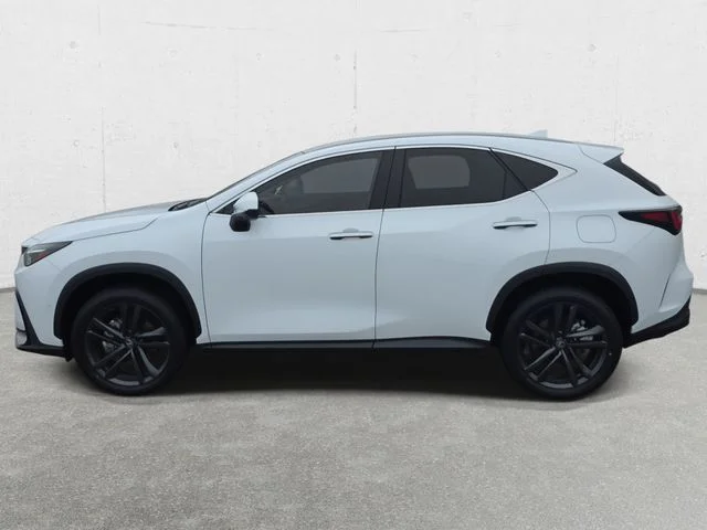 2026 Lexus NX 450h+ Luxury - Photo 8