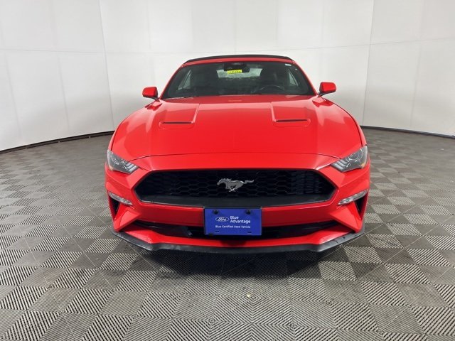 Used 2022 Ford Mustang EcoBoost Premium with VIN 1FATP8UH5N5118696 for sale in Shakopee, Minnesota