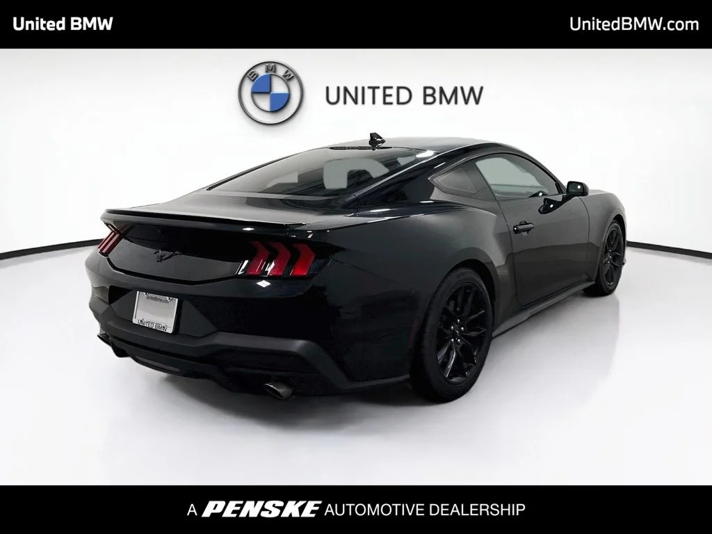 Used 2024 Shadow Black Ford EcoBoost image 5