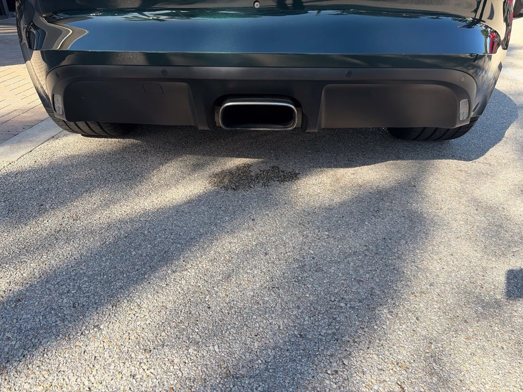 Used 2019 Green Jaguar P300 image 4