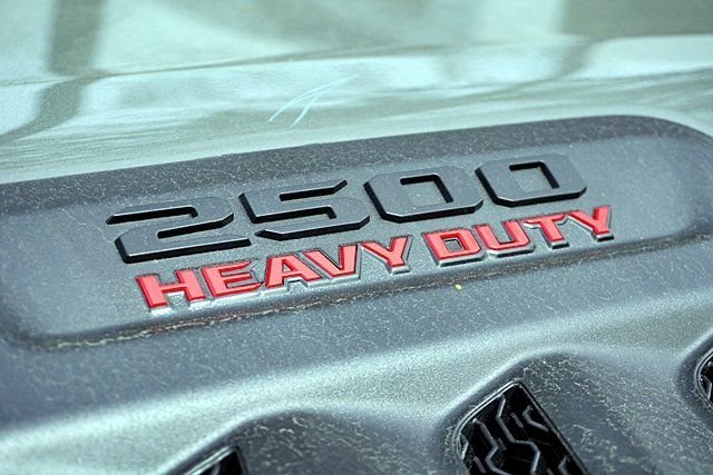 New 2026 Ceramic Gray Clear-Coat Exterior Paint RAM Limited image 12