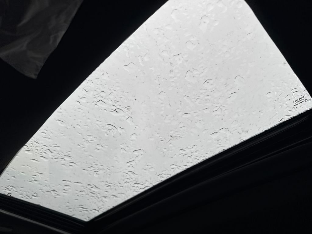 2025 Toyota Tacoma TRD Pro - Photo 27