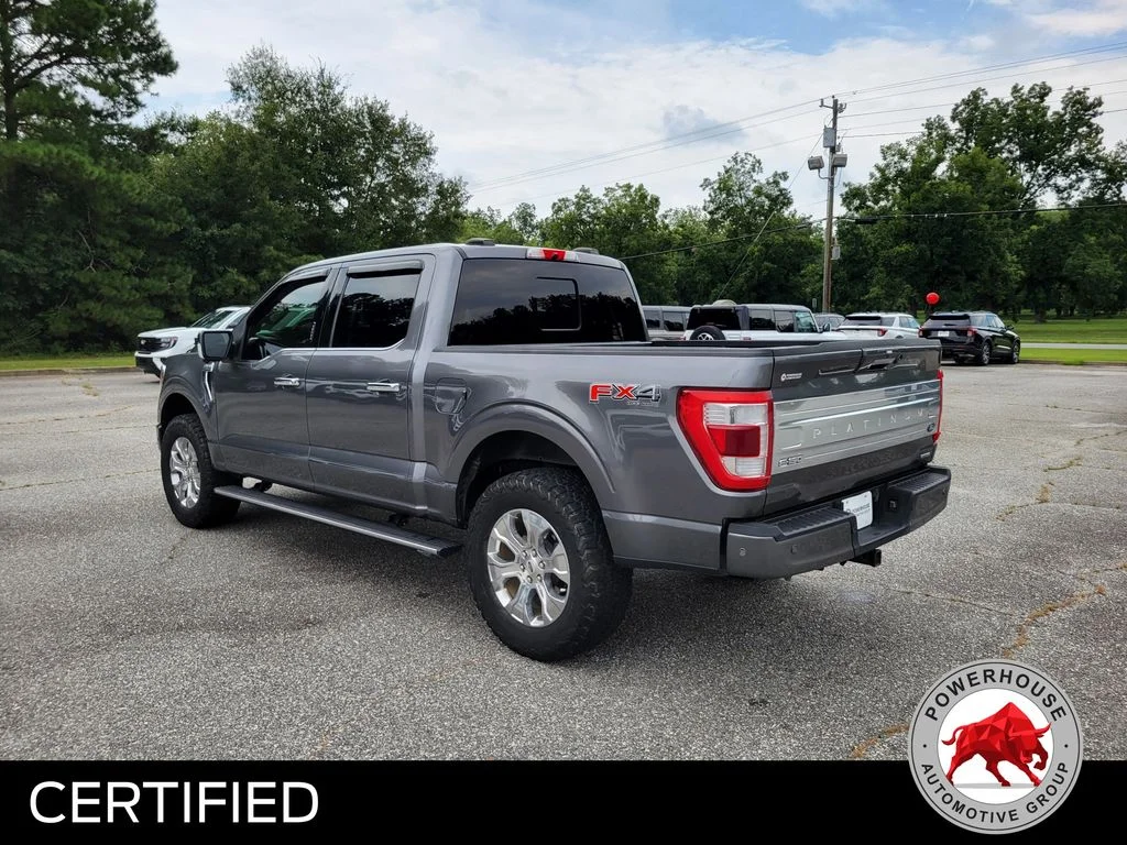 Used 2023 Gray Ford Platinum image 4
