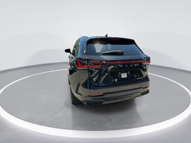 2024 Lexus NX 250 - Photo 6