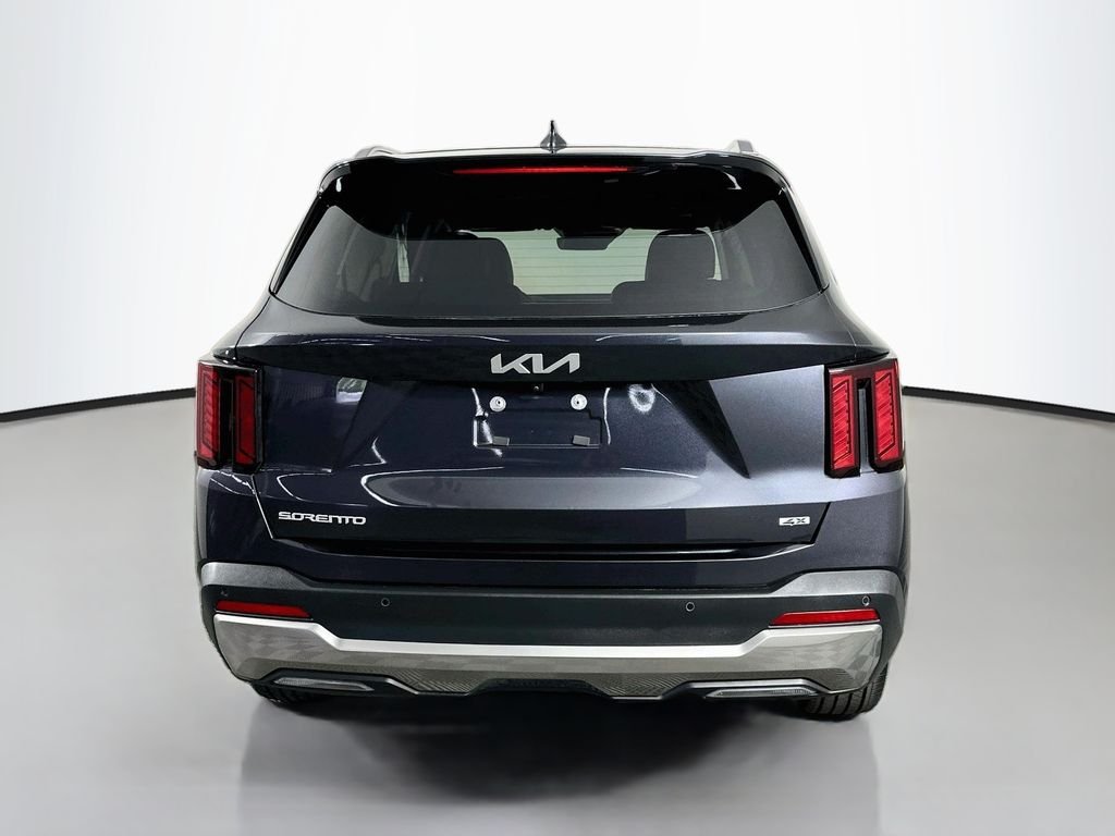 Used 2025 Panthera Metal Kia EX image 7