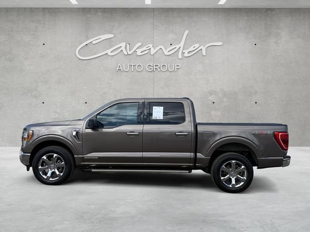 Certified Used 2023 Stone Gray Metallic Ford XLT image 14
