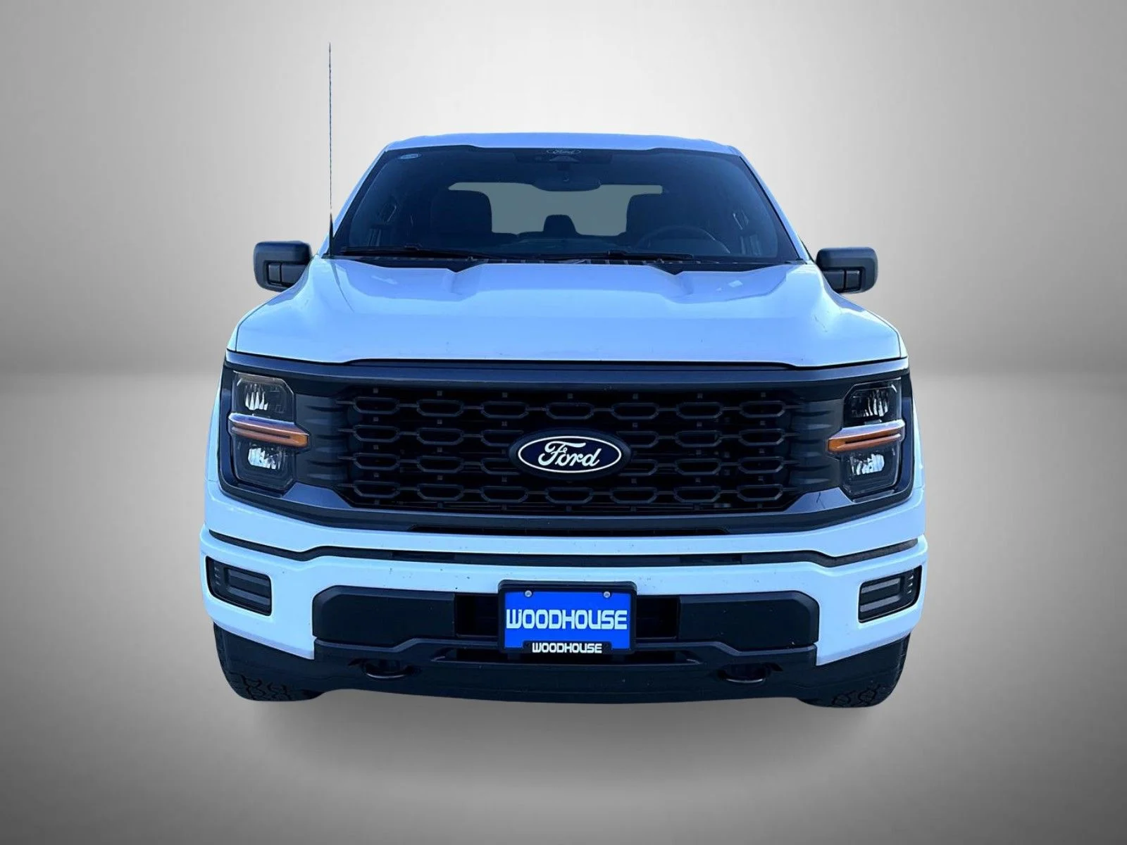 New 2026 Shelter Green Ford STX image 2