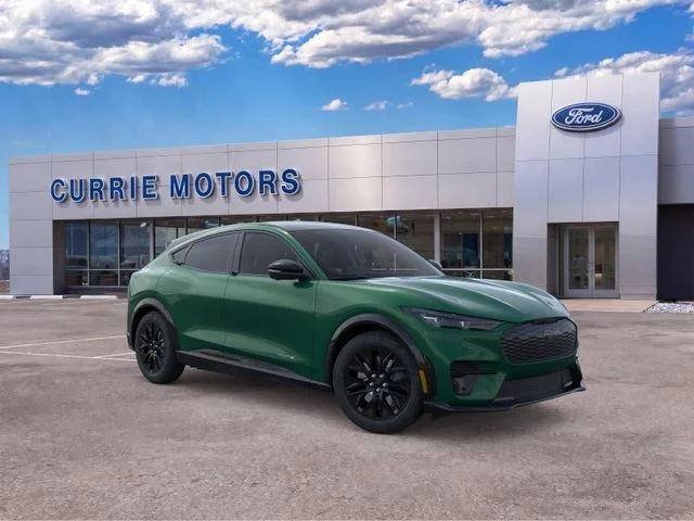 New 2026 Eruption Green Metallic Ford Premium image 29