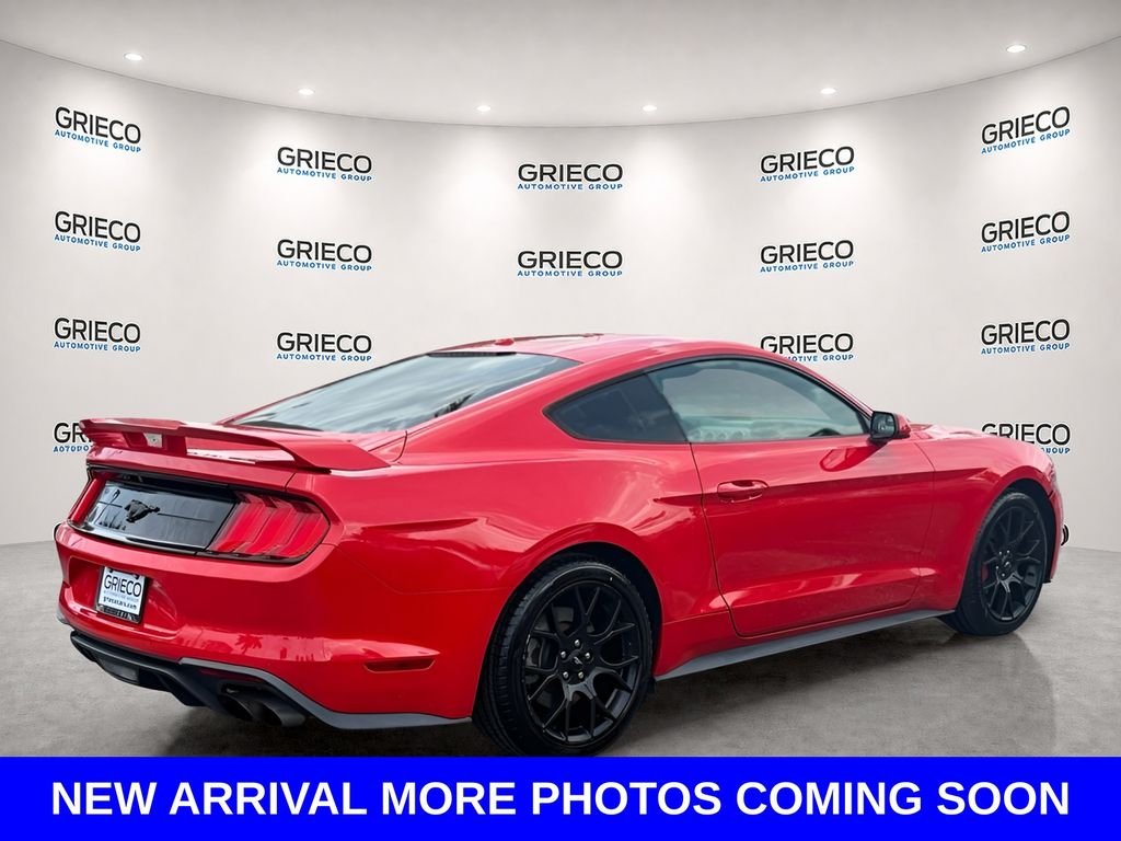 Used 2019 Red Ford EcoBoost image 5